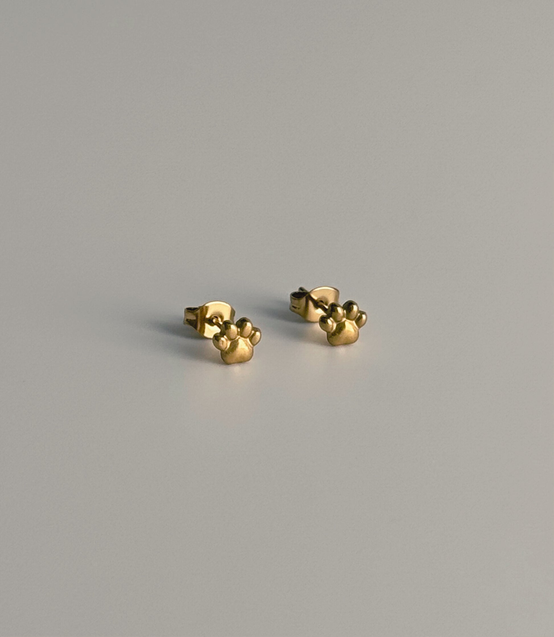 Huellitas